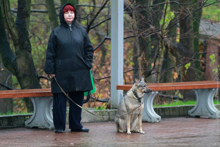 "Последний День милиции": фоторепортаж "Нового Калининграда.Ru"